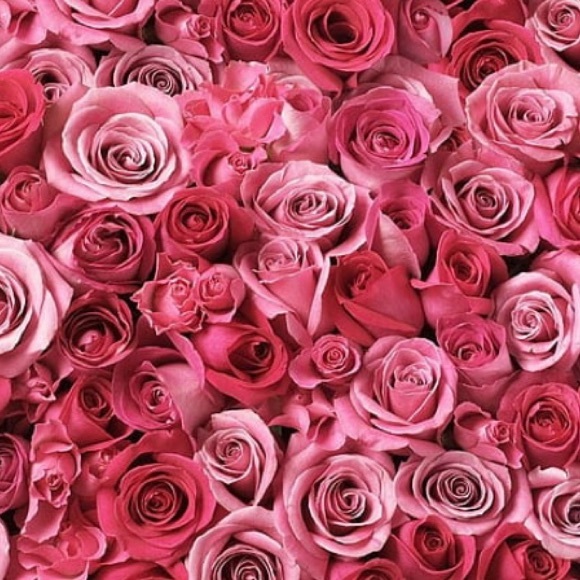 curatedby_a